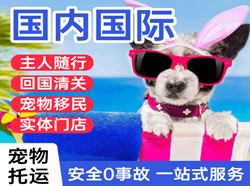 大同云冈国际宠物托运 【国